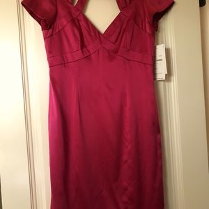 Basix II Fuchsia Dress